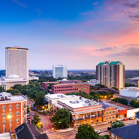 Overview of buildings in Tallahassee Florida
