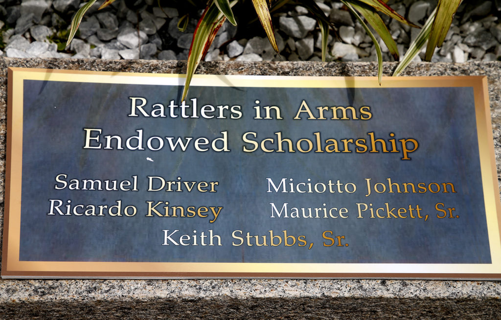 Rattler in Arms Plaque