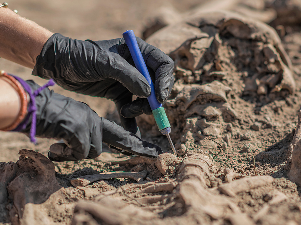  Person excavating ancient human remains with digging tool kit set at archaeological site, studying anthropology.