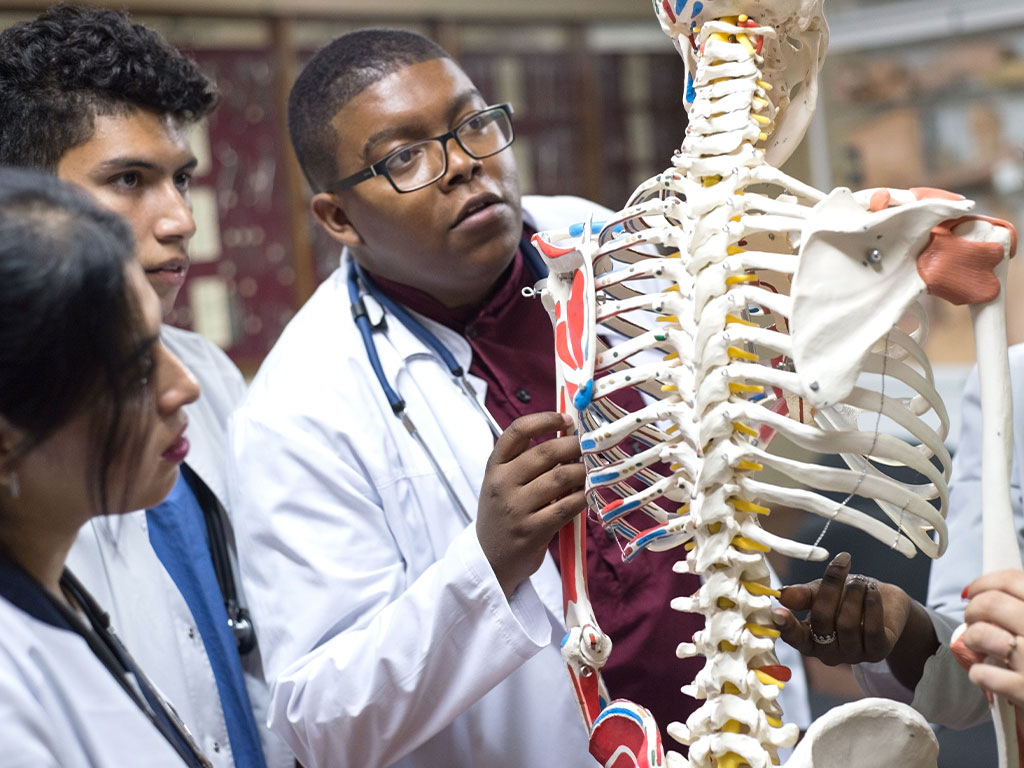 Students looking at skeleton in classroom