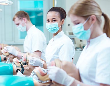 From genetics to microbiology, students explore life’s building blocks using state-of-the-art lab technology and faculty mentorship.