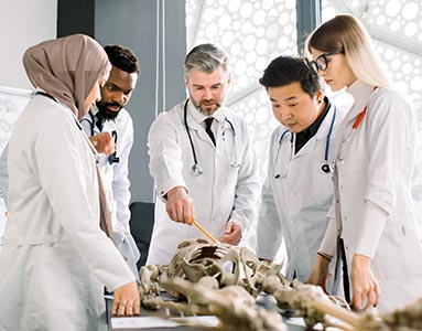 Undergraduate research opportunities allow students to contribute to breakthroughs in genetics, ecology, and biotechnology.