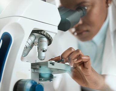 FAMU Chemistry students develop critical thinking and lab skills that prepare them for graduate studies and STEM careers.