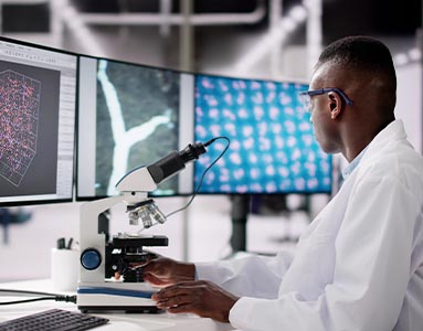 Field studies and internships give chemistry majors practical experience applying science to real-world challenges.