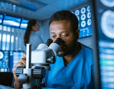 Students investigate the structure, function, and evolution of living organisms through hands-on experiments and inquiry-based learning.