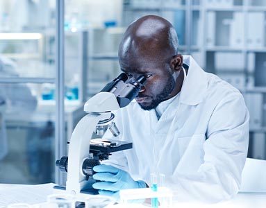 Undergraduate research opportunities allow students to contribute to breakthroughs in genetics, ecology, and biotechnology.