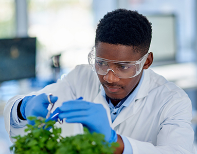 A man in a lab coat examines a plant specimen in a research facility