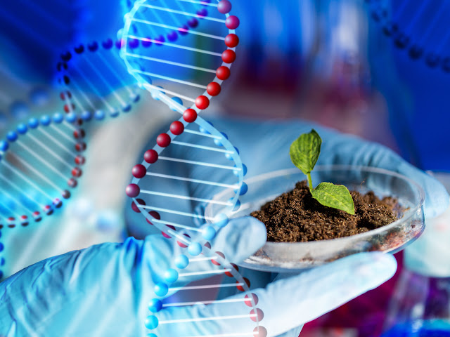 chalk board and backpack
