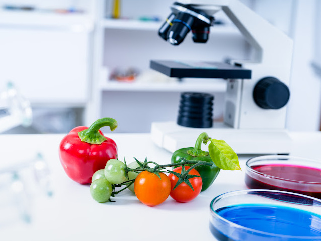 youth theatre production