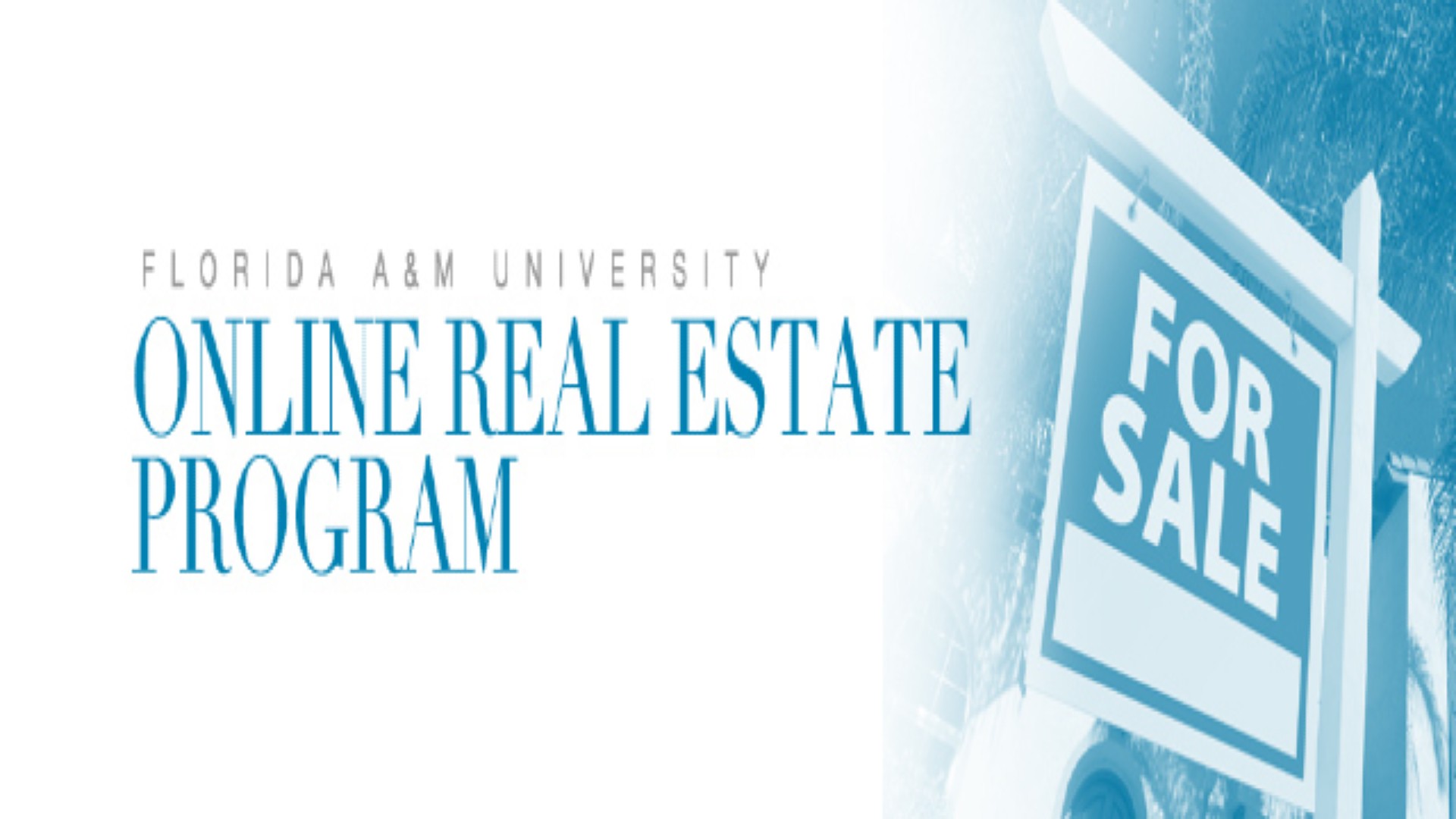 Online Real Estate Program