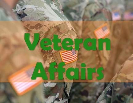 Veteran Affairs Icon