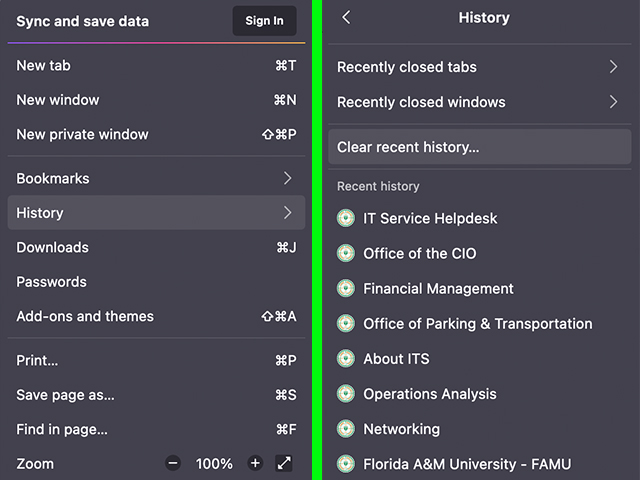 side by side of firefox history tab and clear recent histiry tab
