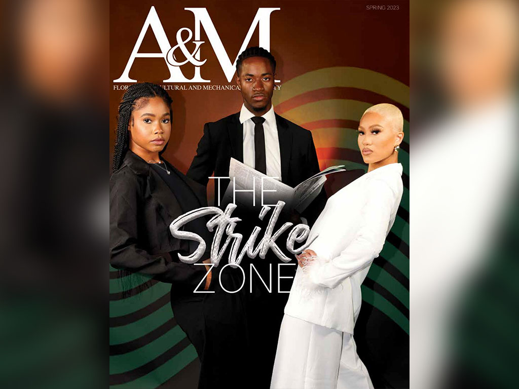 The Strike Zone