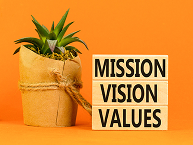 a plant next to a wooden sign that says "Mission, Vison, Values" in all caps