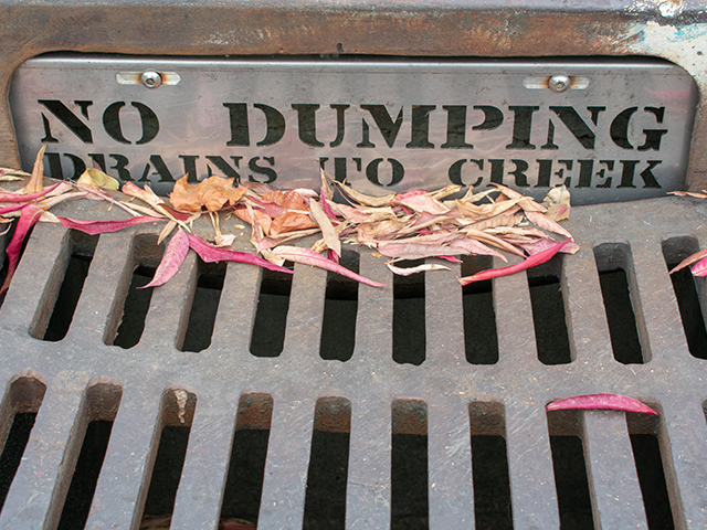 A steel plate warning sign sits above a  side street storm drain,. It reads "No Dumping drains to creek". Red and yellow fall leaves on the storm drain.