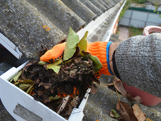 Close up of A man cleaning a clogged roof gutter from dirt, debris and fallen leaves to prevent water damage and let rainwater drain properly. 