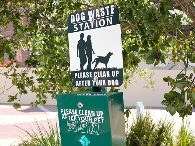 Close up of an outdoor pet waste station