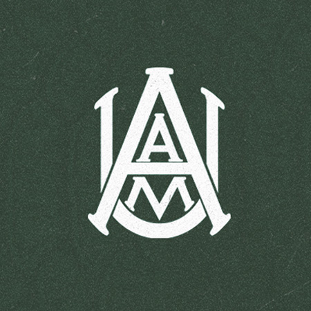 Florida A&M vs Alabama A&M Football Game