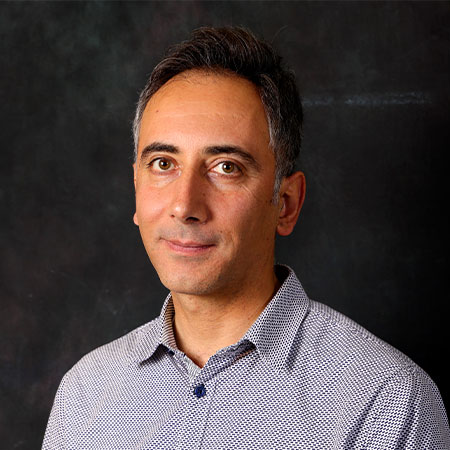 Mohsen Gheibi