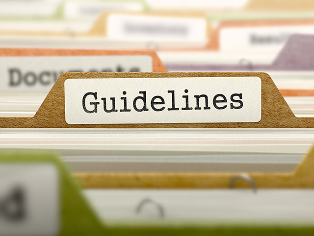 Faculty Lead Program Guidelines