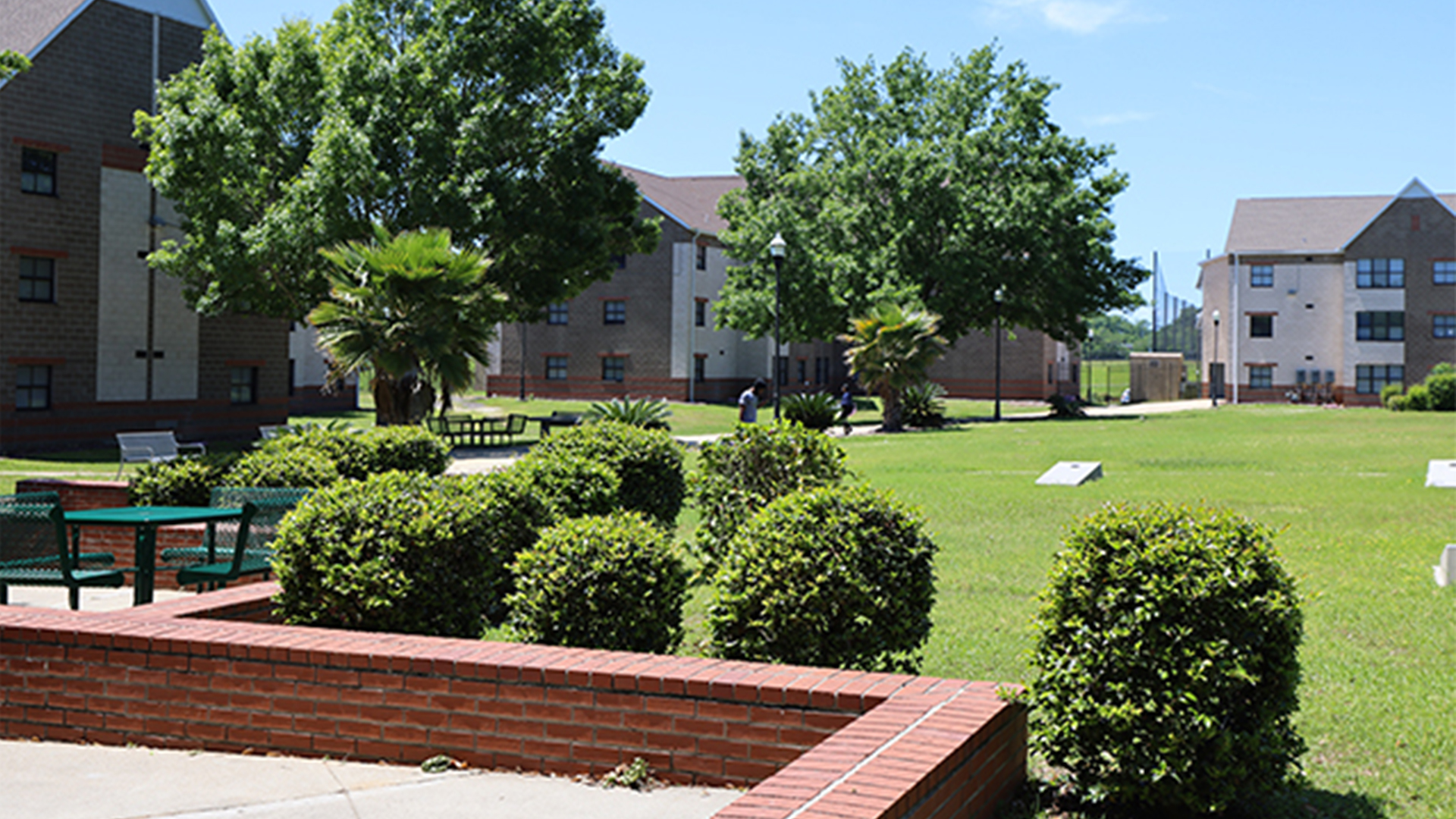 palmetto street South large FAMU palmetto street South