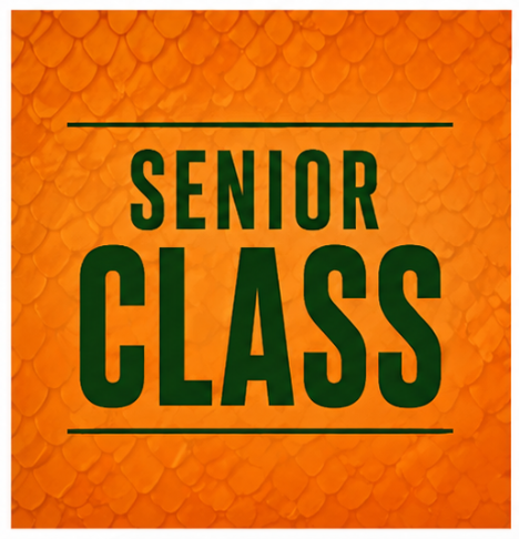 senior class tile